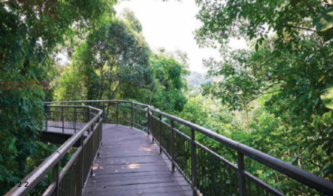 Terra Hill Nature